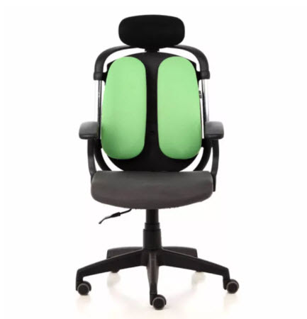 เก้าอี้เพื่อสุขภาพ ergotrend รุ่น dual-03Green