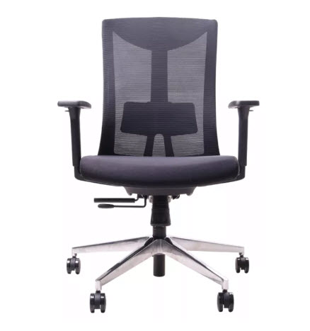 เก้าอี้เพื่อสุขภาพ ergotrend รุ่น dual-x