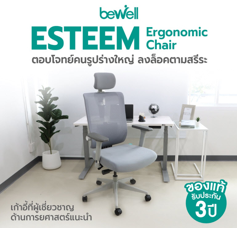 bewell ergonomic chair esteem models 2